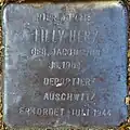 Stolperstein für Lilly Herz (Neue Maastrichter Straße 3)