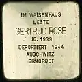 Stolperstein für Gertrud Rose (Sülzgürtel 43)