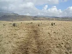 Einer der White Moss Kreise