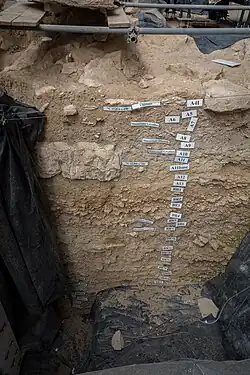 Profil mit Kennzeichnung der Straten im Eingangsbereich der Höhle (2014)