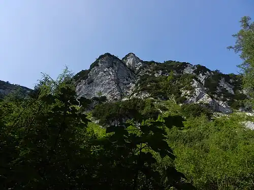 Die Nordabbrüche des Streichers, gesehen im Aufstieg vom Fahrriesboden