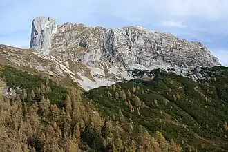 Sturzhahn Südostflanke