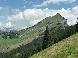 Augstmatthorn mit Suggiture (rechts) vom Grat aus Richtung Südwest gesehen; unten links der Murgang von Juni 2013