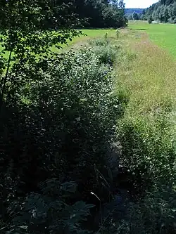 Der Sulgenbach im Köniztal