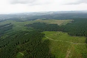 Die Hellefelder Höhe am Südrand der Sunderner Wälder