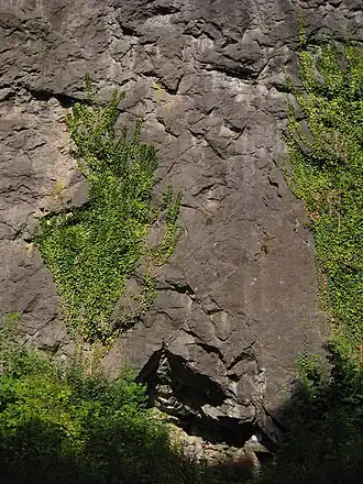 Von-der-Becke-Höhle