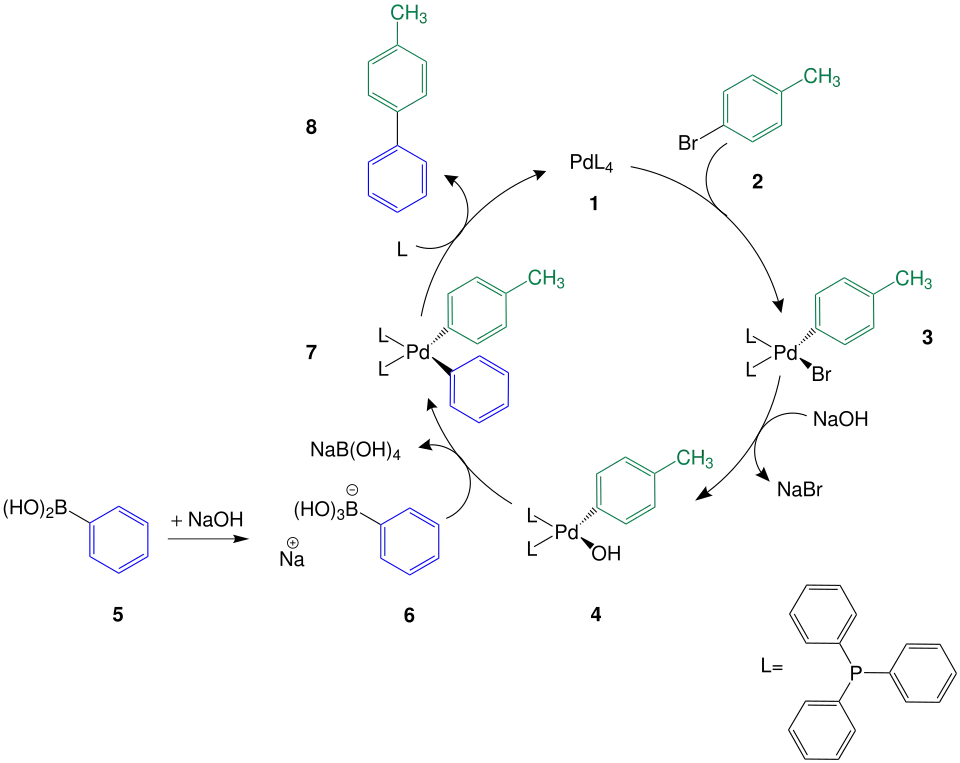 Mechanismus der Suzuki-Kupplung