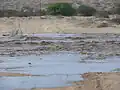 Der Swakop etwa 20 Kilometer vor Swakopmund am 15. Februar 2008
