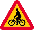 Radfahrer (kreuzen)