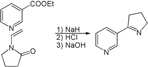 Synthese von Myosmin