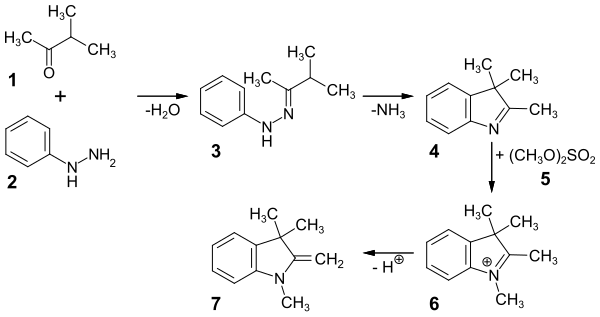 Synthese der Fischer-Base aus 3-Methylbutanon und Phenylhydrazin (Fischersche Indolsynthese)