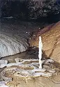 Sinterbecken mit Tropfsteinsäule in einer Höhle bei Sălciua de Jos, Rumänien