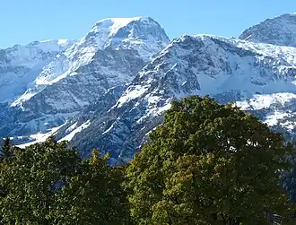 Der Tödi (3612 m ü. M.) von Braunwald gesehen