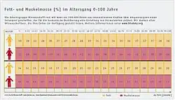 Körperanalysen Normalwerte; Fett- und Muskelmasse in %