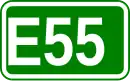 E55