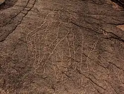 Herde von Elephanten