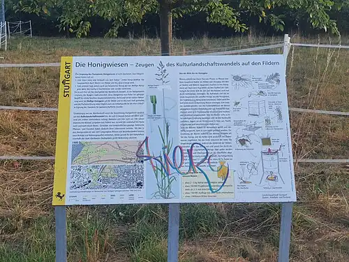 Informationstafel im Quellgebiet