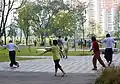 Tai Chi in Bishan Park