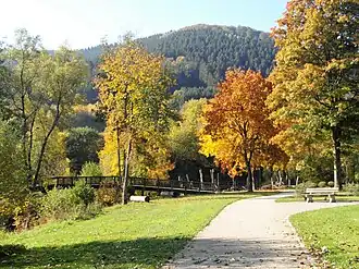 Kurpark im Herbst 2018 (Wanderweg)