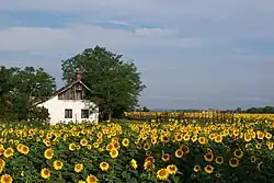 Altes Bauernhaus in Mártély