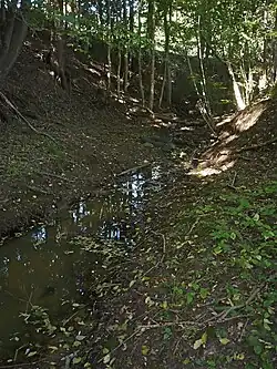 Typisch für den Oberlauf: Tappert bei Bauerngrün