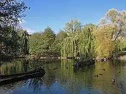 Teich im Volkspark Mariendorf
