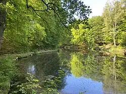 Teichanlagen östlich Schefferei