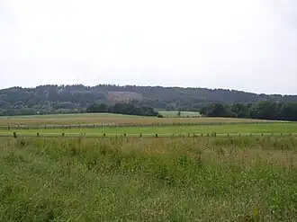 Der Hüggel mit von Orkan Kyrill umgeworfenen Waldflächen