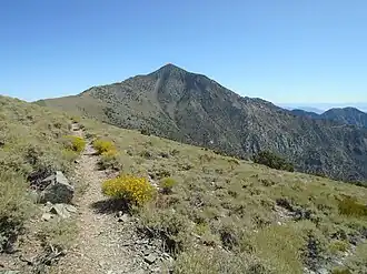 Blick auf den Telescope Peak in der Panamint Range