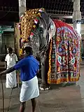 Tempelelefantin im Ornat im Menakshi Tempel, Madurai, Tamil Nadu