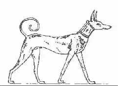 Tesem, altägyptischer Pharaohund (†)