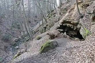 Zugang zur Höhle im März 2021