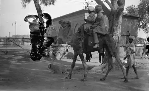 Indian natives riding a dromader camel