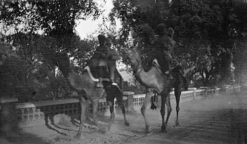Indian natives riding dromader camels