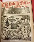 Peter Treveris – The Grete Herball (1526)