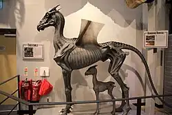 Seitliche Farbfotografie von einem Thestral mit seinem Jungen, der unter seinem Körper steht. Diese grauen Wesen ähneln Drachen, haben einen skelettartigen Körper und durchsichtige Flügel. Beide Figuren stehen hinter einer Absperrung und links sind Notfallausgang und Feuerlöscher.