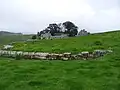 Reste eines Straßenwärterhauses (Beneficarius Consularis), im Hintergrund die Housesteads Farm
