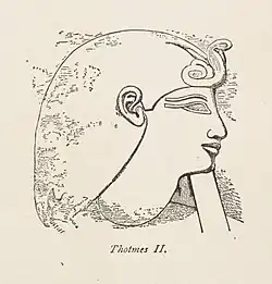 Thutmosis II., Vater des Thutmosis III.