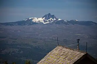Three Fingered Jack von Osten