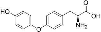Strukturformel von L-Thyronin