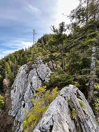 Tiefentaler Köpfe, mittlerer Kopf (1401 m)