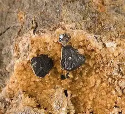 Tiemannit in kleinen, schwarzen modifizierten Tetraedern von Marysvale in Utah, USA – der klassischen Lokalität für Tiemannit-Kristalle