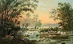 Tierleben am mittleren Orinoco, Chromolithografie nach einer Zeichnung von Anton Goering, Sammlung Museum Burg Posterstein