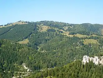 Tirolerkogel, aufgenommen von Südosten (von der Karnermauer, dem südwestlichsten Gipfel des Traisenberges)