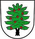 Wappen von Tis