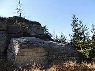 Gipfelbereich des Tischberg