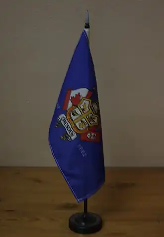 Wimpel zur Hundertjahr-Feier 1982 mit Wappen und Motto: Vestigia&nbsp;nulla&nbsp;retrorsum