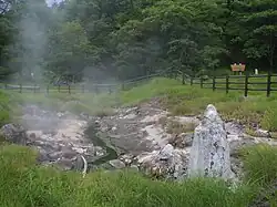 Turmförmiger Kalksinter