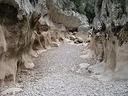 Bachbett im Gorg des Capellà