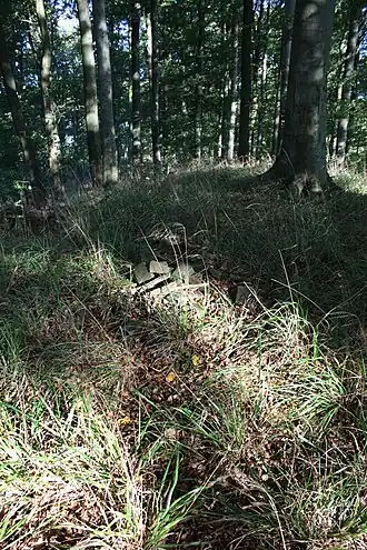 Gipfel des Tosmarberges